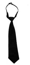 Галстук "Охранник", черный купить в Красноярске по низкой цене Галстук "Охранник", черный купить в Красноярске по низкой цене